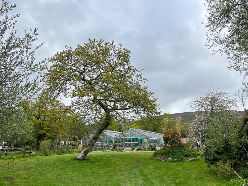 Lanjeth Nursery & Water Gardens